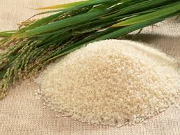 بزرگترین برنج کاران جهان کدامند؟