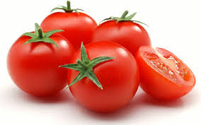 تولید بیش از ۶ میلیون تن گوجه فرنگی در کشور