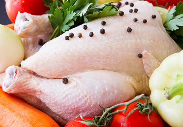 ذخیره سازی روزانه بیش از هزار تن مرغ گوشتی در کشور