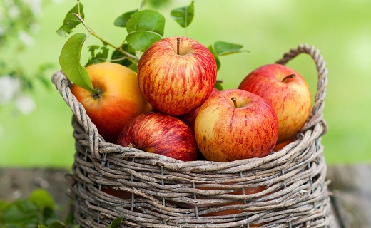 شهرت جهانی سیب ایرانی از لحاظ طعم، مزه، بو و رنگ
