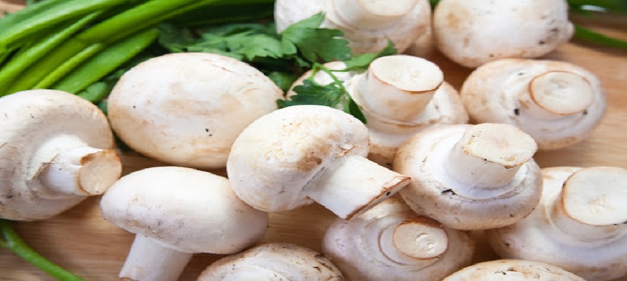صادرات قارچ  در کشور به ۷ هزار تن رسید
