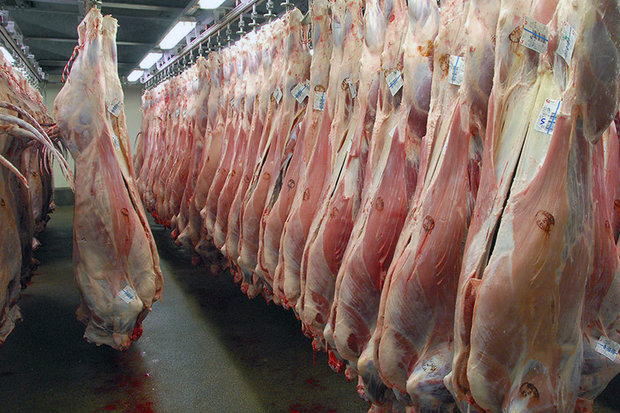عرضه گوشت وارداتی از استرالیا و آسیانه میانه بازار را آرام کرد