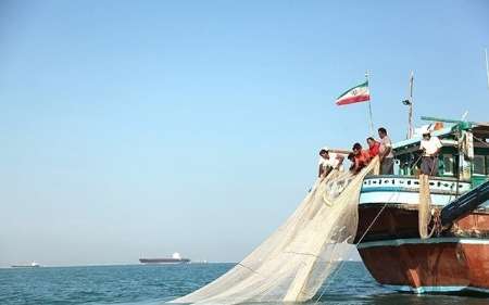 16 کشتی متخلف صید فانوس ماهیان متوقف شد/ صدور مجوز پرورش تیلاپیا در 4 استان