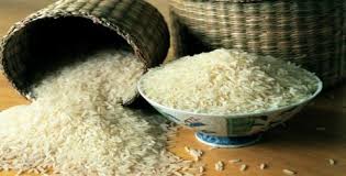 هیچ نوع برنج تراریخته ای در کشور تولید نمی شود