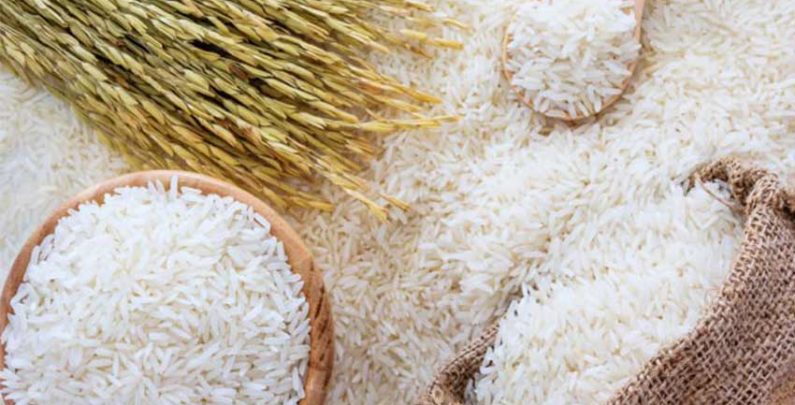 کشور نیازی به واردات برنج ندارد / کمبود واردات بهانه‌ای برای افزایش قیمت برنج