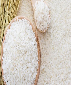 اصلاح 20 رقم برنج با تکنولوژی هسته‌ای /دو رقم جدید برنج معرفی شد