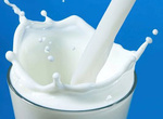 عدم صادرات شیرخشک به ضرر دامداران /ظرفیت تولید ۱۳.۵ میلیون تن شیر
