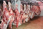 دلایل کاهش واردات گوشت قرمز/ دولت صادرات را آزاد کند