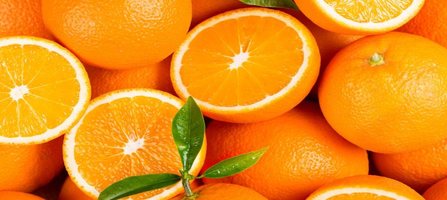 ایران رتبه هفتم تولید پرتقال در جهان