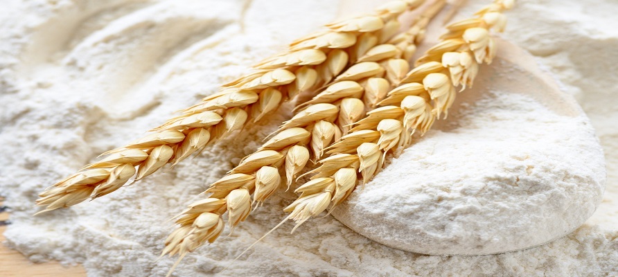 ترکیه رتبه اول صادرات آرد گندم جهان را کسب کرد 