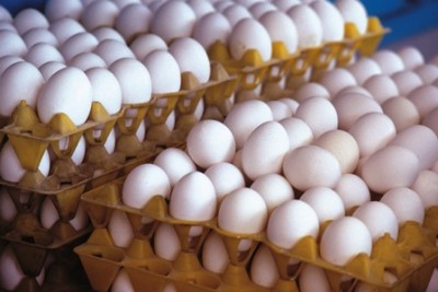 عرضه تخم مرغ با قیمت 11800 تومان در میادین شهرداری/ تخم مرغ گران نیست