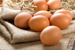 بازار تخم مرغ تعریفی ندارد؛ تولید تخم مرغ به یک میلیون و ۱۰۰ هزار تن رسید