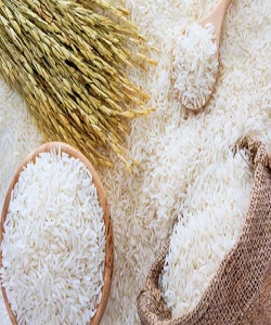 بزرگترین تولیدکنندگان برنج در دنیا /ایران رتبه 28 تولید برنج