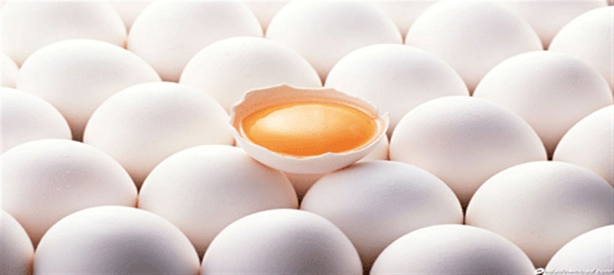 تخم مرغ دو زرده چگونه تولید می‌شود؟