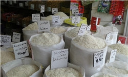 تامین ذخایر راهبردی از تولید داخل/ بازار برنج آرام می‌گیرد
