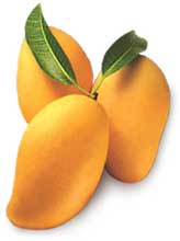 ابزار خوشحالی پاکستان از صادرات انبه به ایران / اعلام آمادگی برای صادرات نارنگی و سیب زمینی