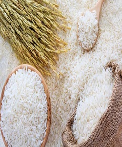 واردات ۸۰۰ هزار تن برنج از ابتدای سال