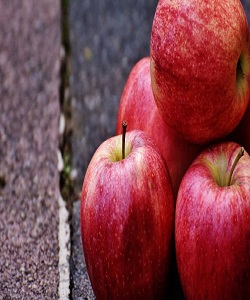رشد 20 درصدی تولید سیب