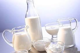 خودداری دامداران از عرضه شیر به کارخانجات/احتمال آزادسازی صادرات شیرخشک