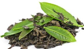 خرید برگ سبز چای از ۸۹ هزار و ۸۰۰ تن گذشت/قیمت هر کیلو چای داخلی ممتاز ۶۰ هزار تومان 