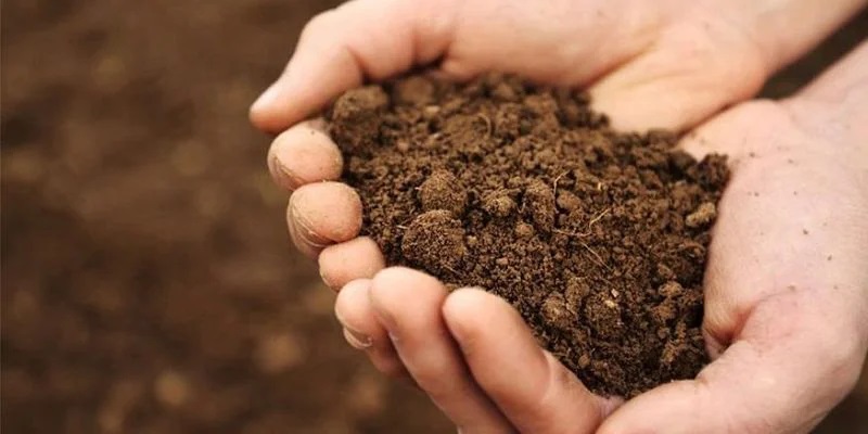 فقر ۸۲درصدی خاک از مواد آلی؛ تهدید پنهان امنیت غذایی ایران