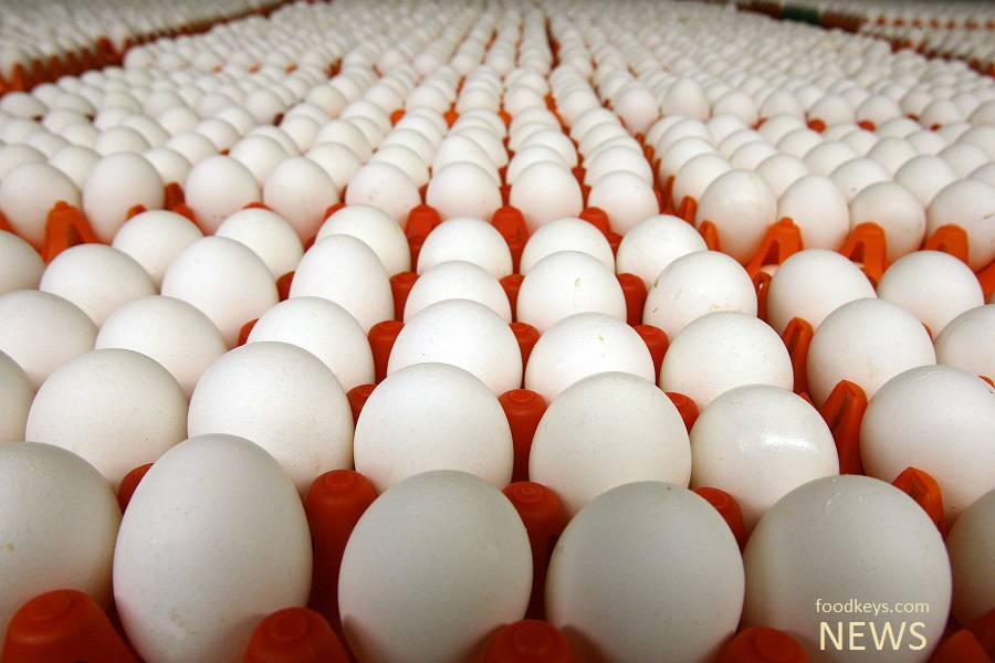 تولید کنندگان تخم مرغ روزانه در هرکیلو ۲ هزار تومان خسارت می‌دهند