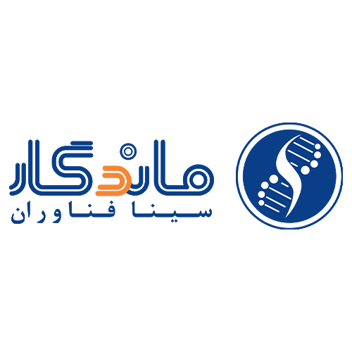 لوگوی شرکت سینا فناوران ماندگار
