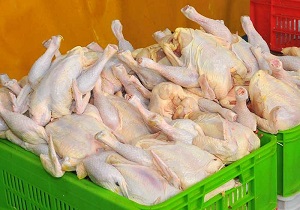 کاهش مجدد قیمت مرغ در بازار / نرخ مرغ به ۱۲ هزار تومان رسید