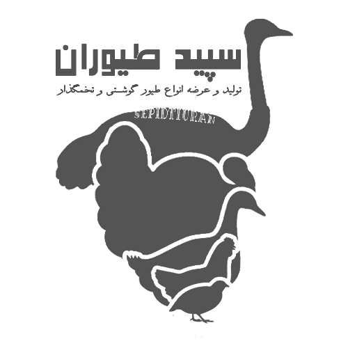 لوگوی شرکت سپید طیوران