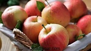 پیش بینی رشد پنج برابری صادرات سیب درختی