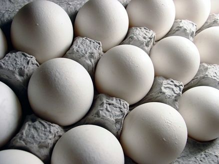 تولید تخم‌ مرغ برای ۲۰۰ میلیون نفر/ دولت موانع صادرات را برطرف نمی‌کند