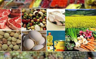 فائو: قیمت جهانی مواد غذایی بالا رفت