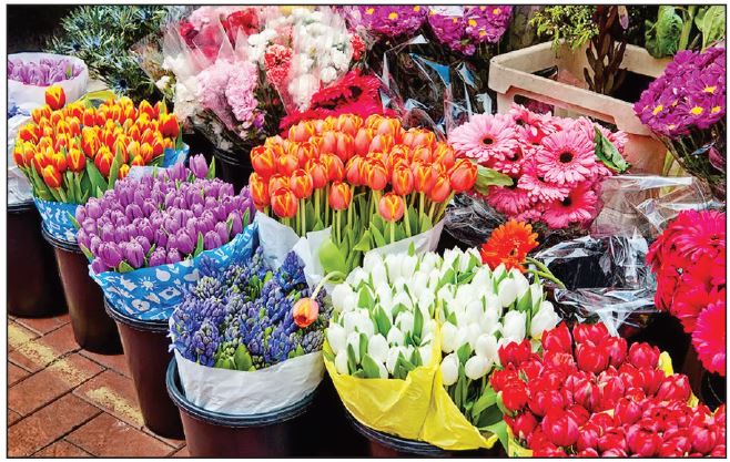 فروش انواع گل و گیاه در فروشگاه‌ های اینترنتی رونق گرفت