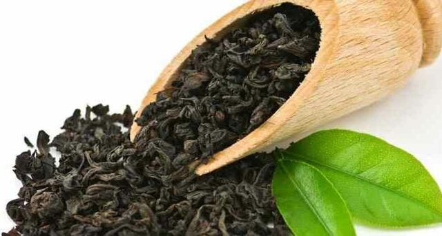 تولید چای هند ۳.۸ افزایش یافت