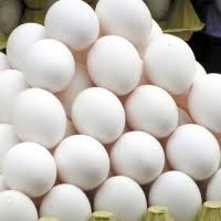 تولید ماهانه ۹۰ هزار تن تخم‌ مرغ در کشور
