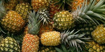 واردات کمپوت آناناس مشروط به صادرات انواع میوه‌جات