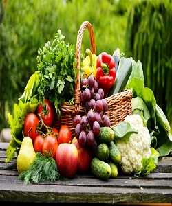 صادرات محصولات کشاورزی 22 درصد افزایش یافت