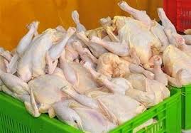 قیمت مرغ به هر کیلو ۱۹ هزار تومان رسید