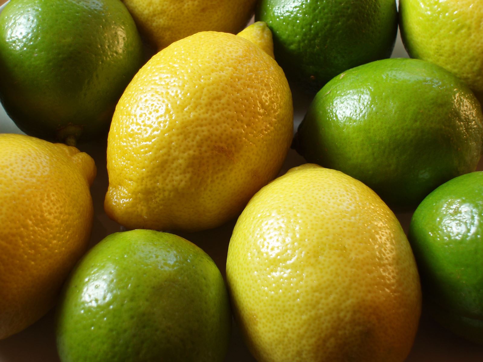 افزایش تولید لیمو ترش در راه است/ ضرورت مقابله جدی با آفت جاروک