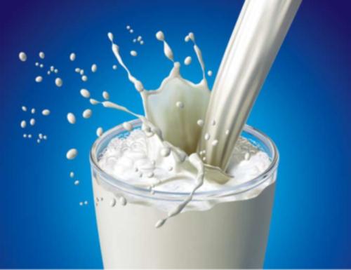 توزیع شیر در اماکن دولتی مساوی با افزایش سرانه مصرف و بهبود اقتصاد دامدار
