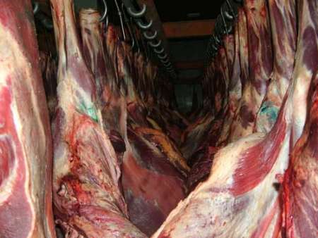 گوشت روسی وارداتی شرعی است/ بازار قیمت را تعیین می‌کند