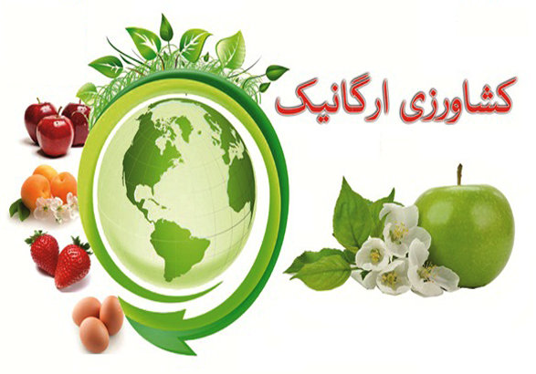 ایران چهل‌ وسومین تولید کننده ارگانیک/ دولت باید به کشاورزان ارگانیک یارانه بدهد