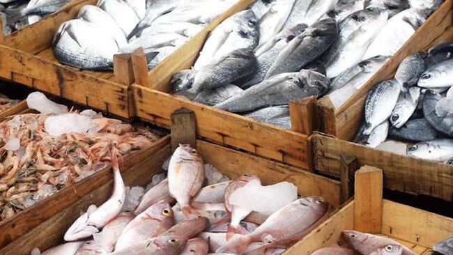 شیلات می‌تواند جایگزین مناسبی برای کشاورزی در استان‌های دارای تنش‌های آبی باشد