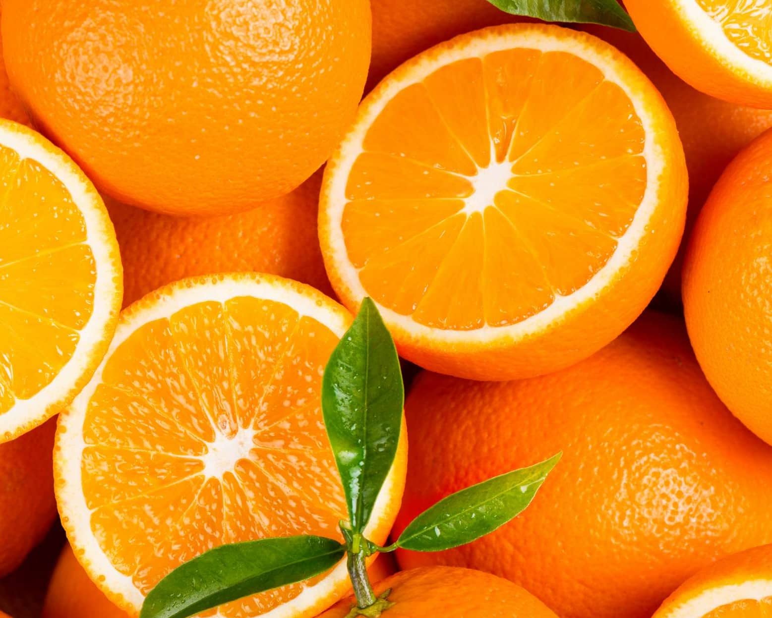 افزایش قیمت پرتقال در سال جاری