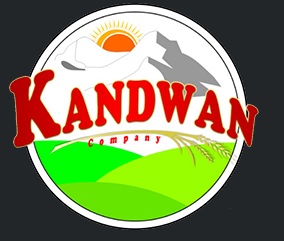 لوگوی شرکت کندوان تجارت پارسیان