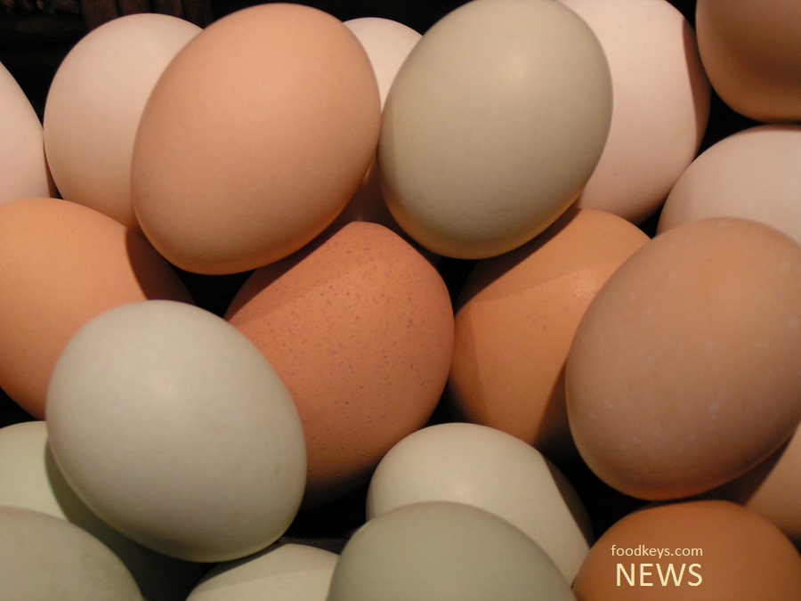 صدور کد رهگیری برای تخم مرغ / سهم سازمان دامپزشکی از بسته سلامت صفر است