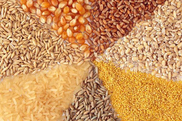 افزایش قیمت محصولات پروتئینی در راه است/ هشدار به سه وزیر درباره حذف ارز مبادله ای خوراک دام
