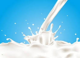 قیمت خرید حمایتی شیر باید افزایش یابد