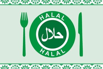 صنعت حلال، سه برابر درآمدهای نفتی برای کشور ارزآوری دارد