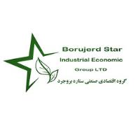 لوگوی گروه اقتصادی صنعتی ستاره بروجرد